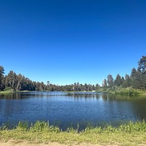 Meet your Posher, Kay